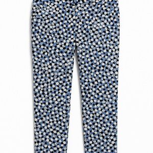 Talbots Chatham Ankle Pants Blue Dot Print Classic Workwear Coastal Style Sz 2
